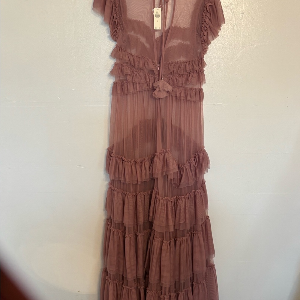 Anthology Ruffle Sheer Maxi Dress with slip